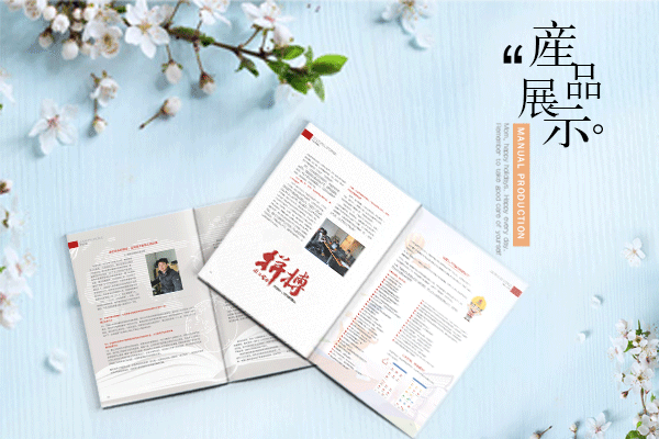 设计一个宣传册怎么收费