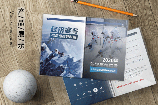 软件公司画册设计