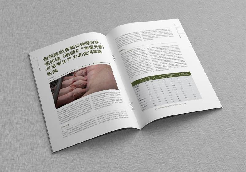 内刊设计